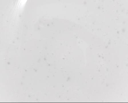 Toner texture rub.