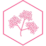 Icono de Flor de Verbena en hex&aacute;gono rosa